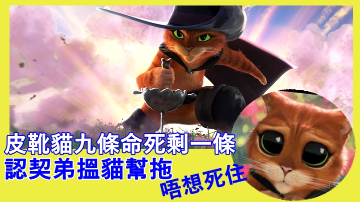 隻衰貓鬼死咁招積。