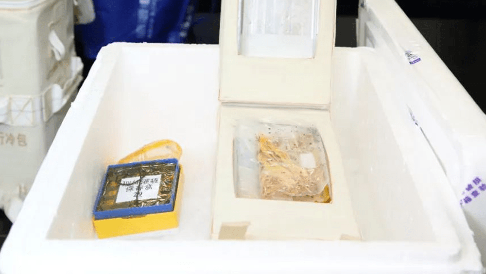 中國太空站第4批太空科學實驗樣品4日隨神舟十五號飛船返回艙返回地面。