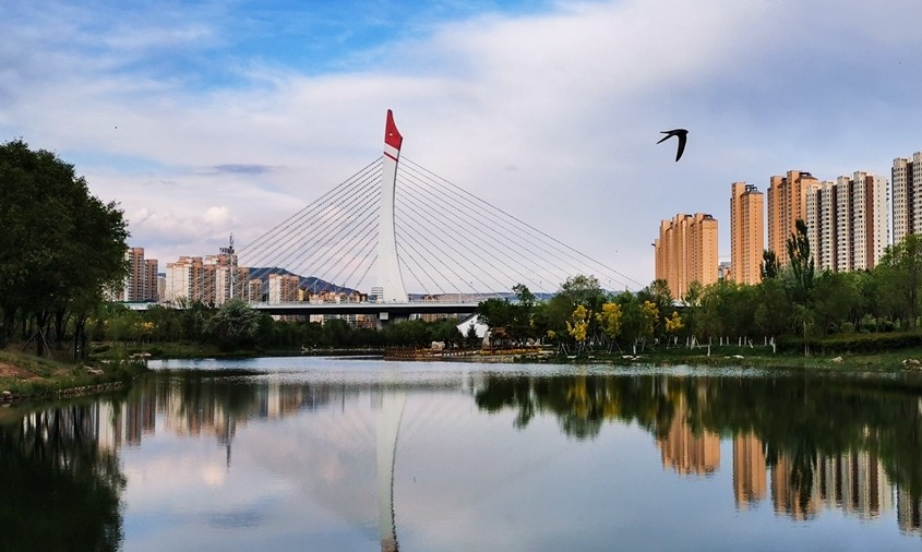 西寧市海湖新區通海橋。新華社