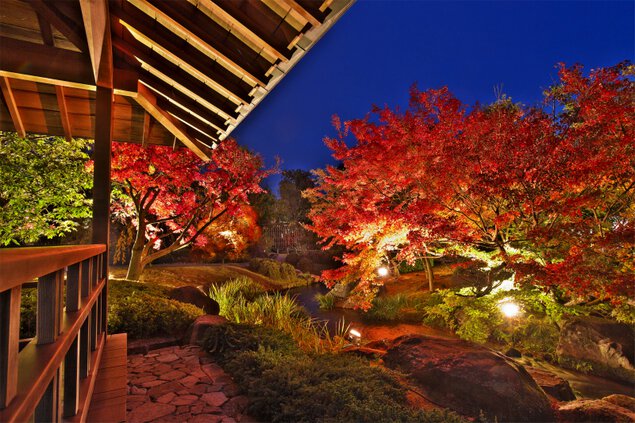 访客可透过不同角度，赏尽好古园的绝美秋色。