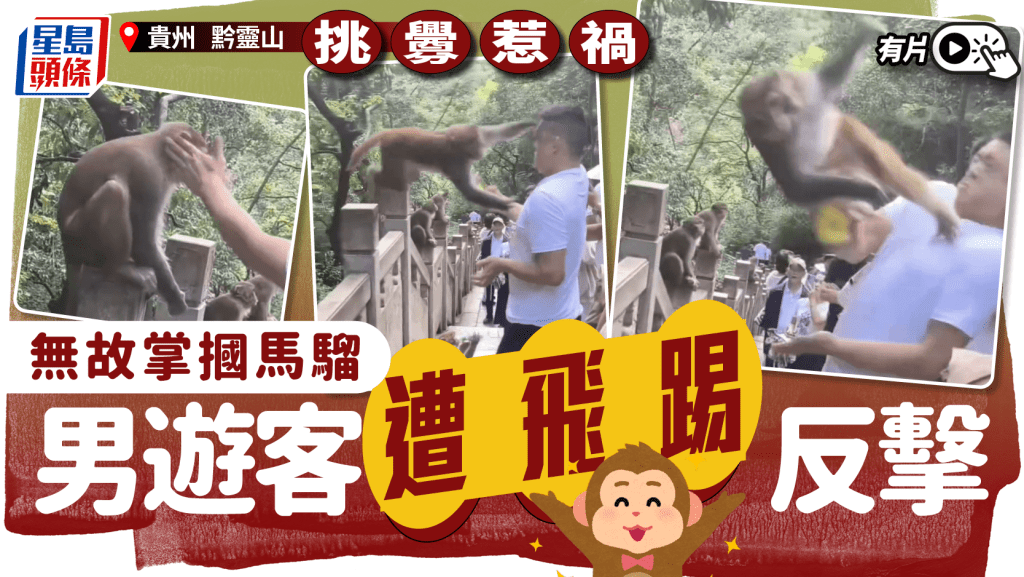 無故打馬騮一巴 黔靈山男遊客遭飛踢反擊｜有片