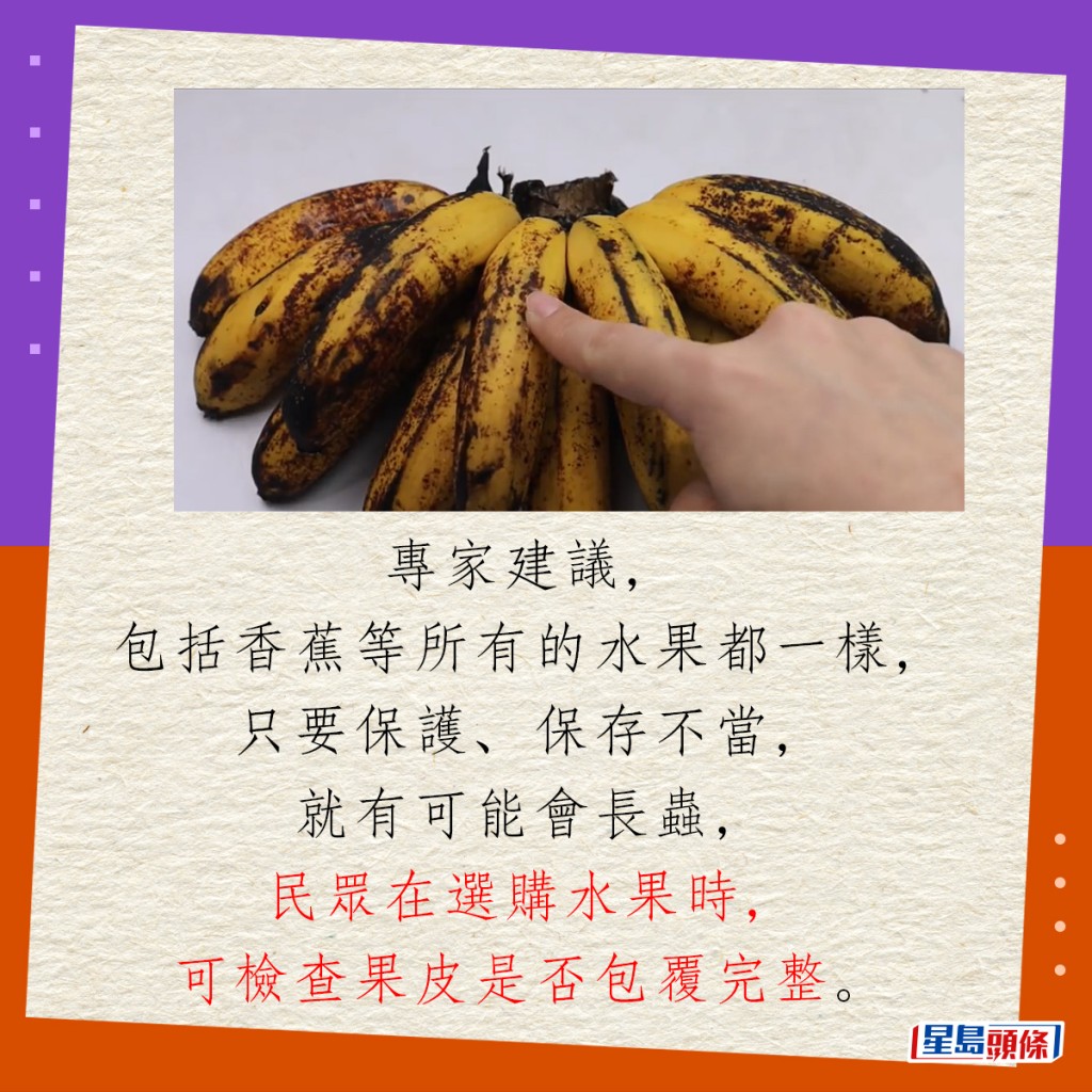 專家建議，包括香蕉等所有的水果都一樣，只要保護、保存不當，就有可能會長蟲，民眾在選購水果時，可檢查果皮是否包覆完整。