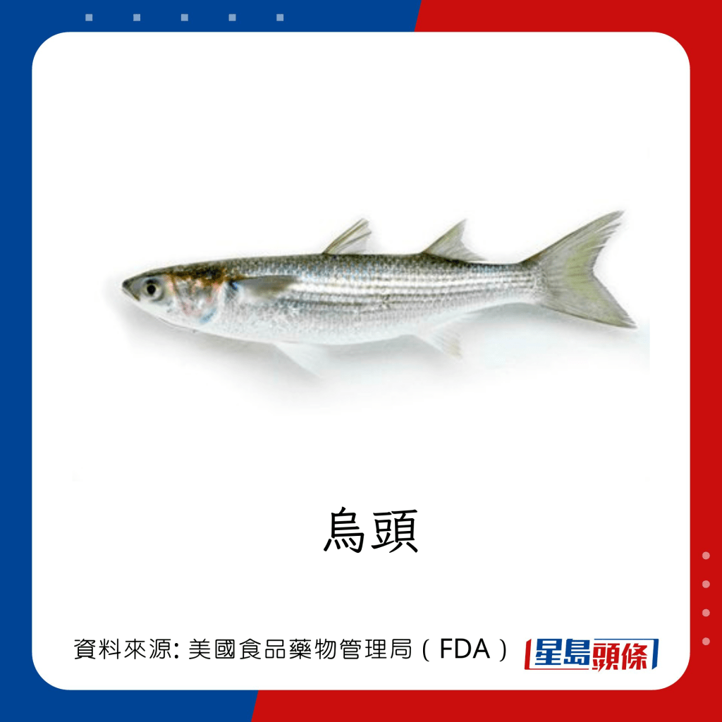 低水銀魚類 ：烏頭