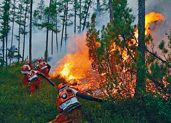 ■多名消防員深入火場撲滅山火。