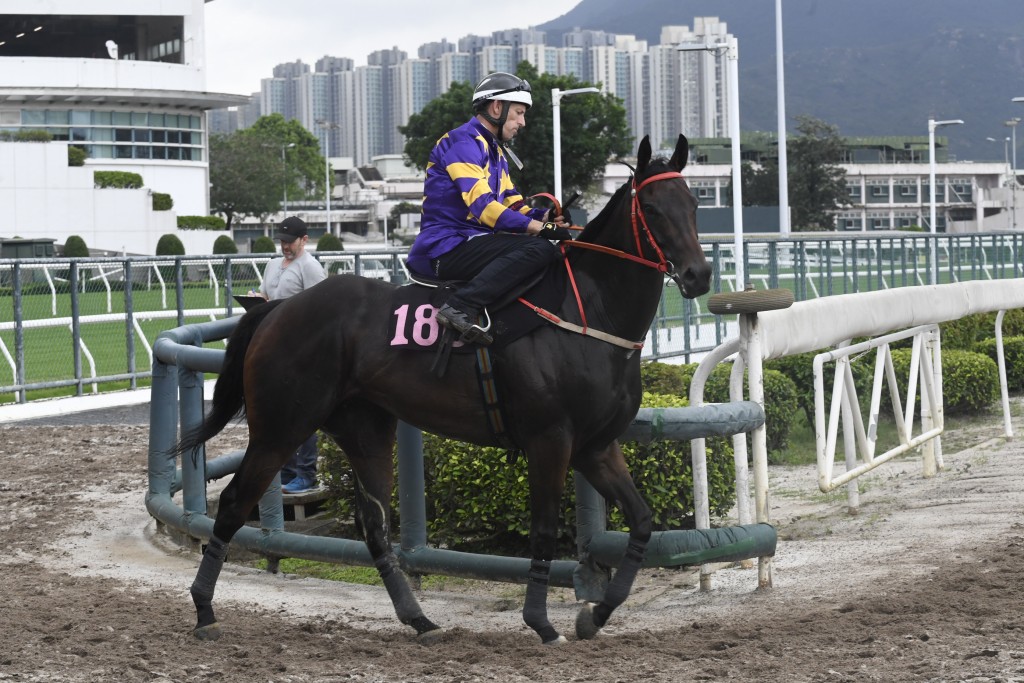 榮智健的「星際快車」越跑越進步，有力敲響勝門。