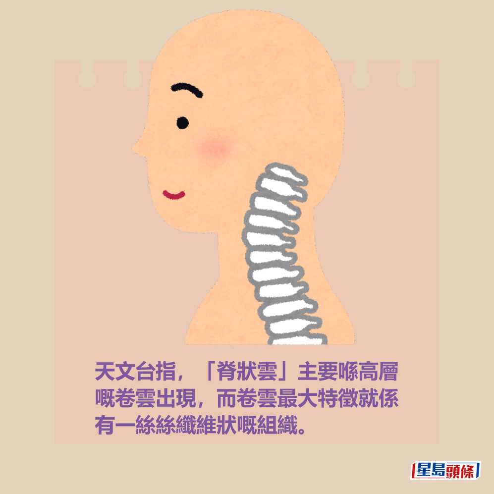 天文台指,「脊狀雲」主要喺高層 嘅卷雲出現,而卷雲最大特徵就係 有一絲絲纖維狀嘅組織。 天文台指,「脊狀雲」主要喺高層 嘅卷雲出現,而卷雲最大特徵就係 有一絲絲纖維狀嘅組織。