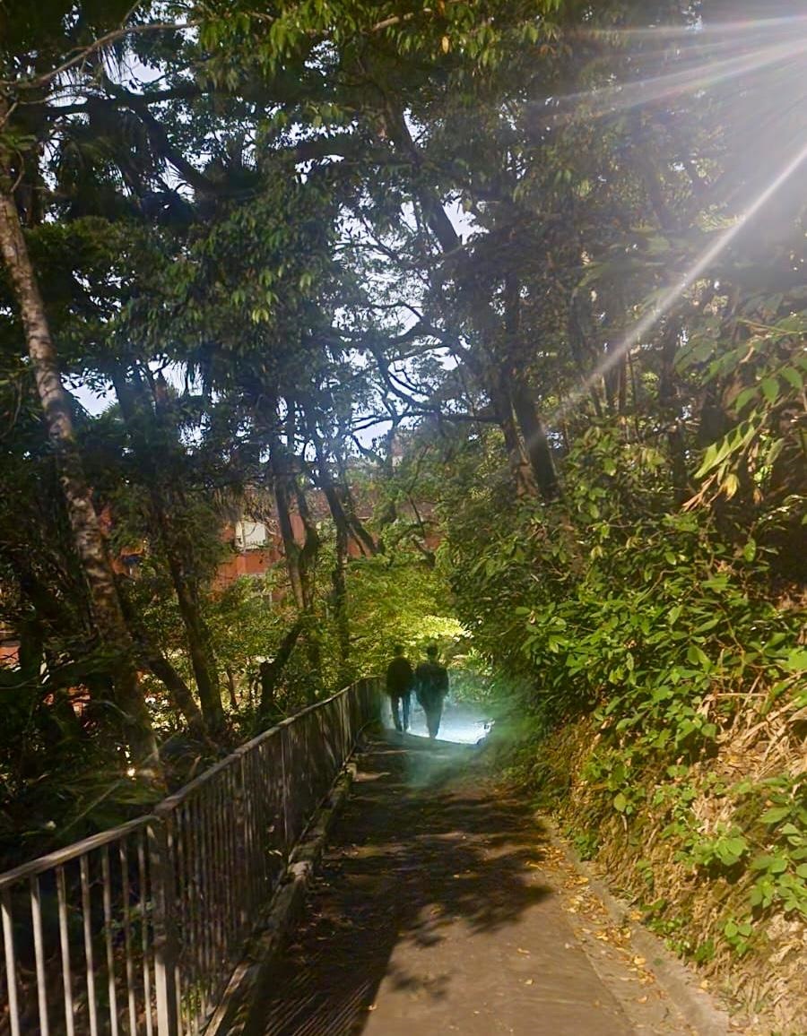 警方重點巡查及高調巡邏香港島半山郊區及港島南區水域一帶鄰近屋苑的山坡與密林。 警方重點巡查及高調巡邏香港島半山郊區及港島南區水域一帶鄰近屋苑的山坡與密林。