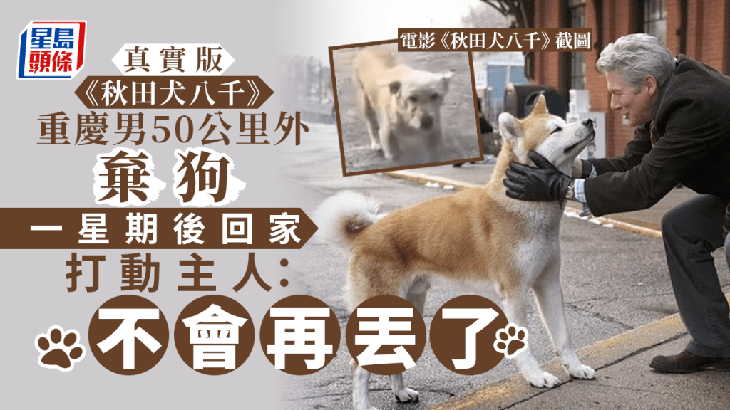 重慶一名狗主日前將狗狗帶到50公里外的遠處遺棄，但牠竟自行回到家中。網上圖片、電影《秋田犬八千》截圖