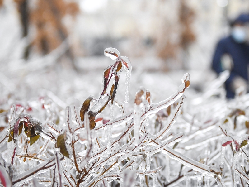 長春下雪情況。新華社圖片