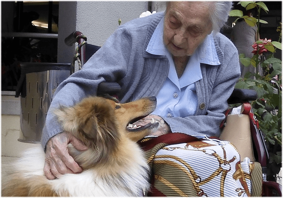 西班牙115歲女人瑞莫雷拉可望接棒，成為全球最老人瑞。網圖