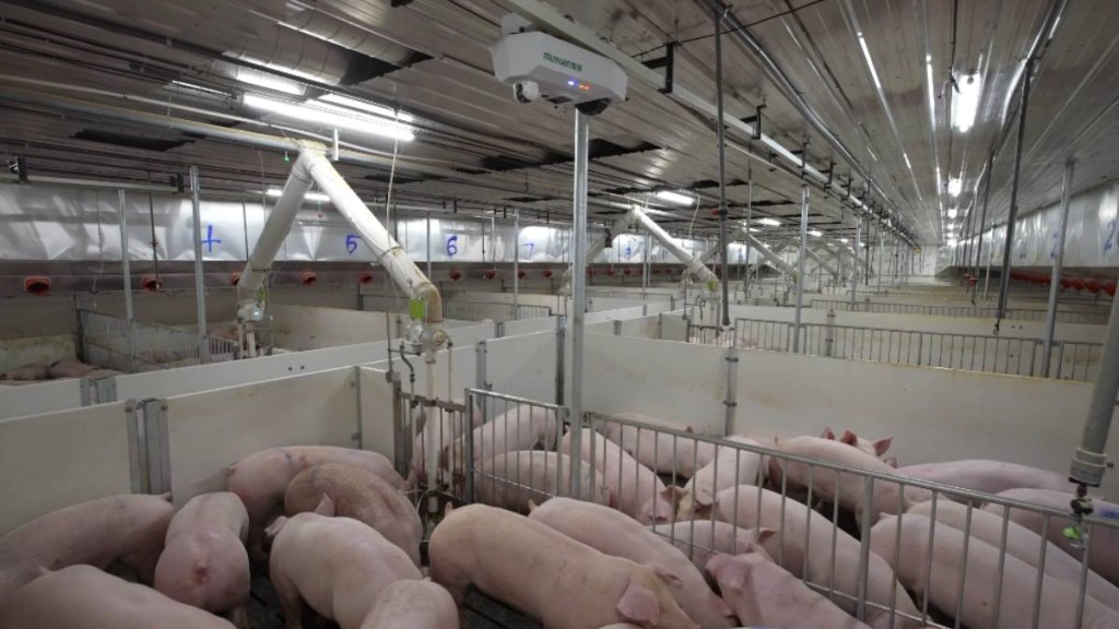 内地现代化的多层猪只养殖场。新华社