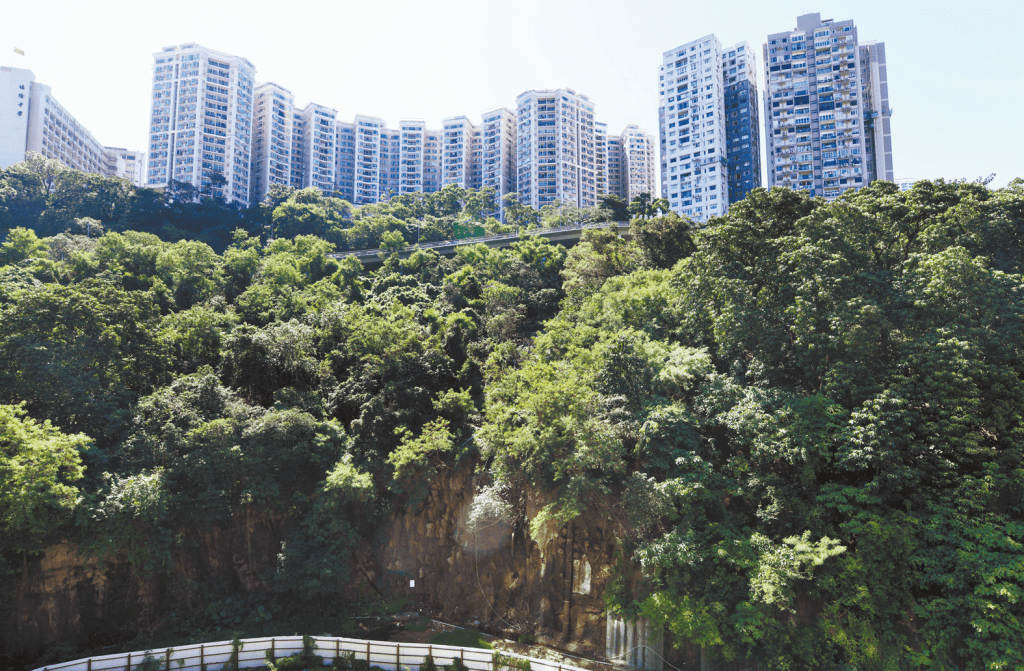 露台可享青翠树景及宝马山，环境幽静