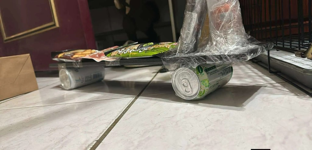 Threads截圖（資料來源：freya__miya＠Threads）