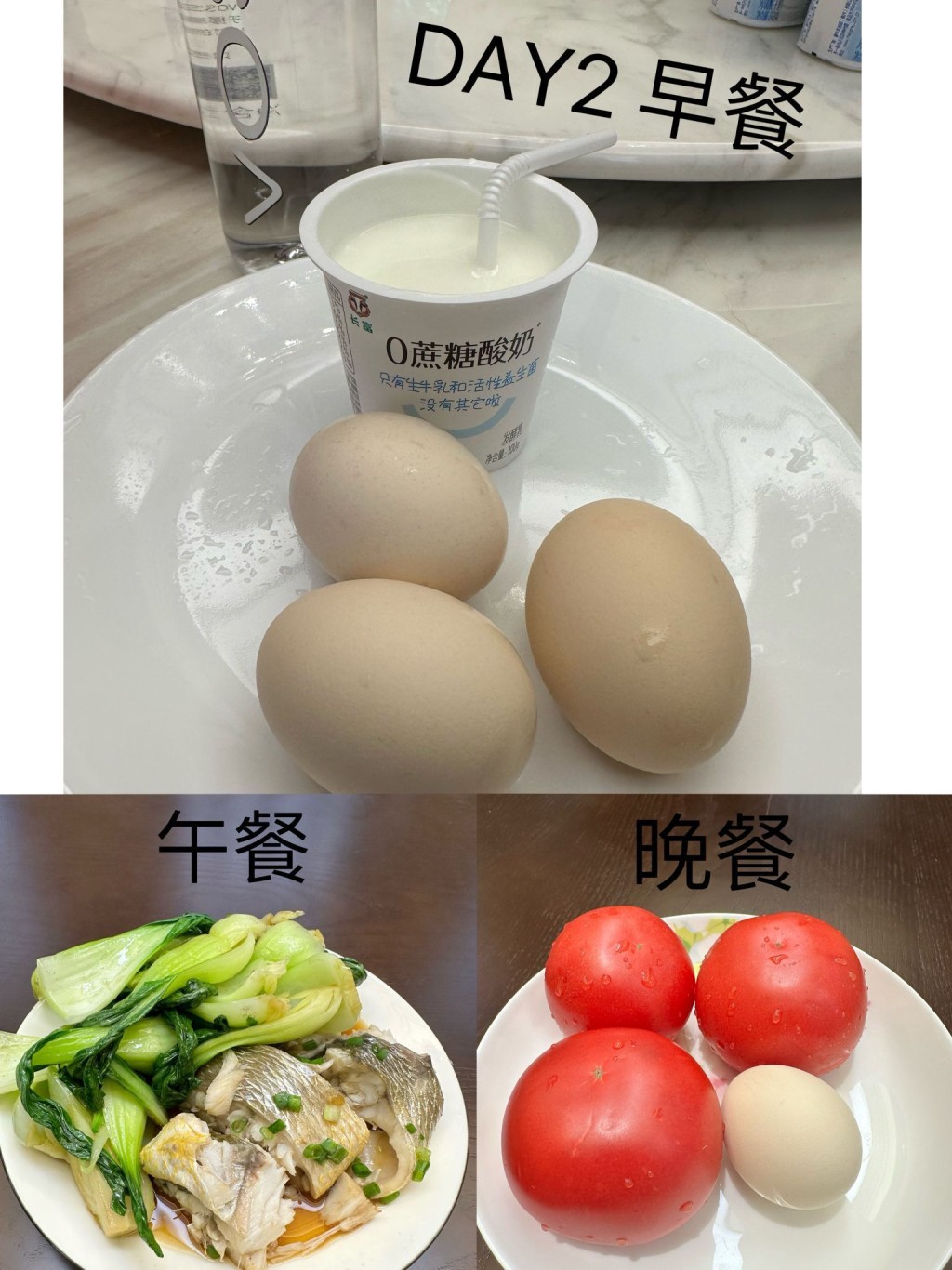 第二日早餐：3烚蛋加原味乳酪；午餐：蒸魚和灼菜；晚餐3生蕃茄和1烚蛋。