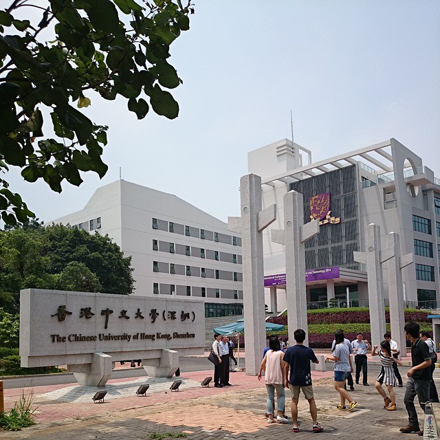 香港中文大学（深圳）。