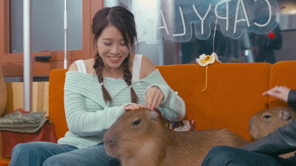 水豚搶晒靚女風頭! 水豚搶晒靚女風頭!