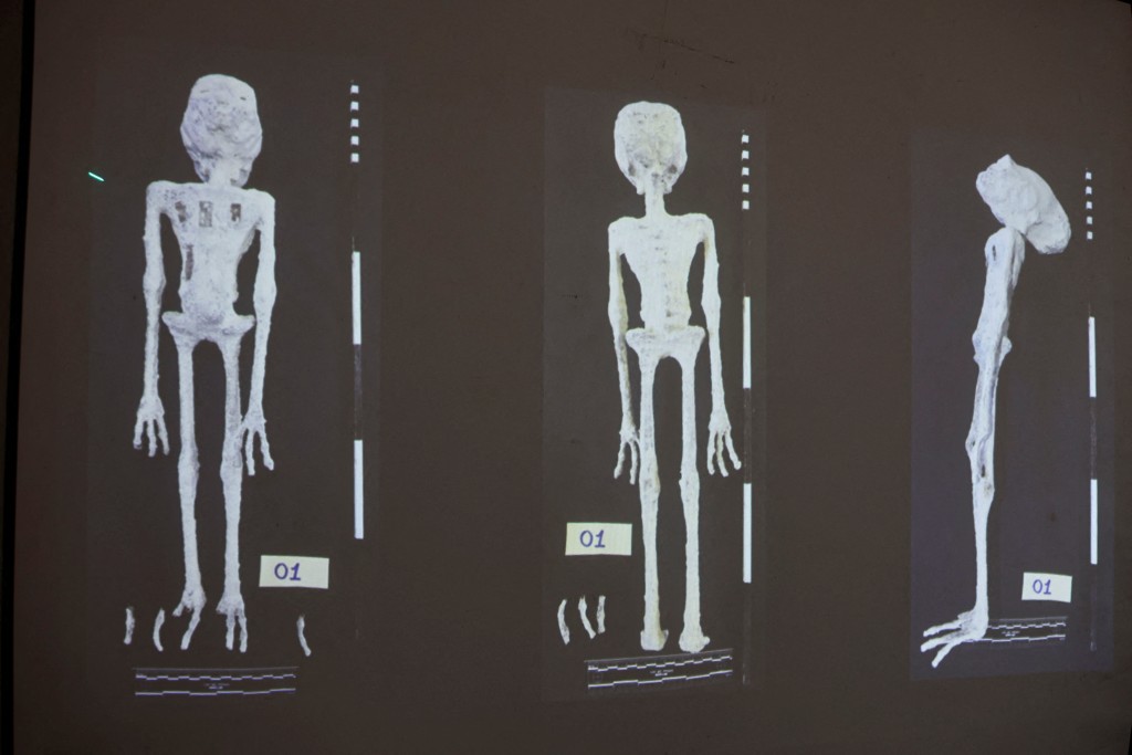 秘魯法醫鑒定顯示，去年10月出現的兩具所謂「外星人」遺體其實是人工合成的人偶。(路透社)