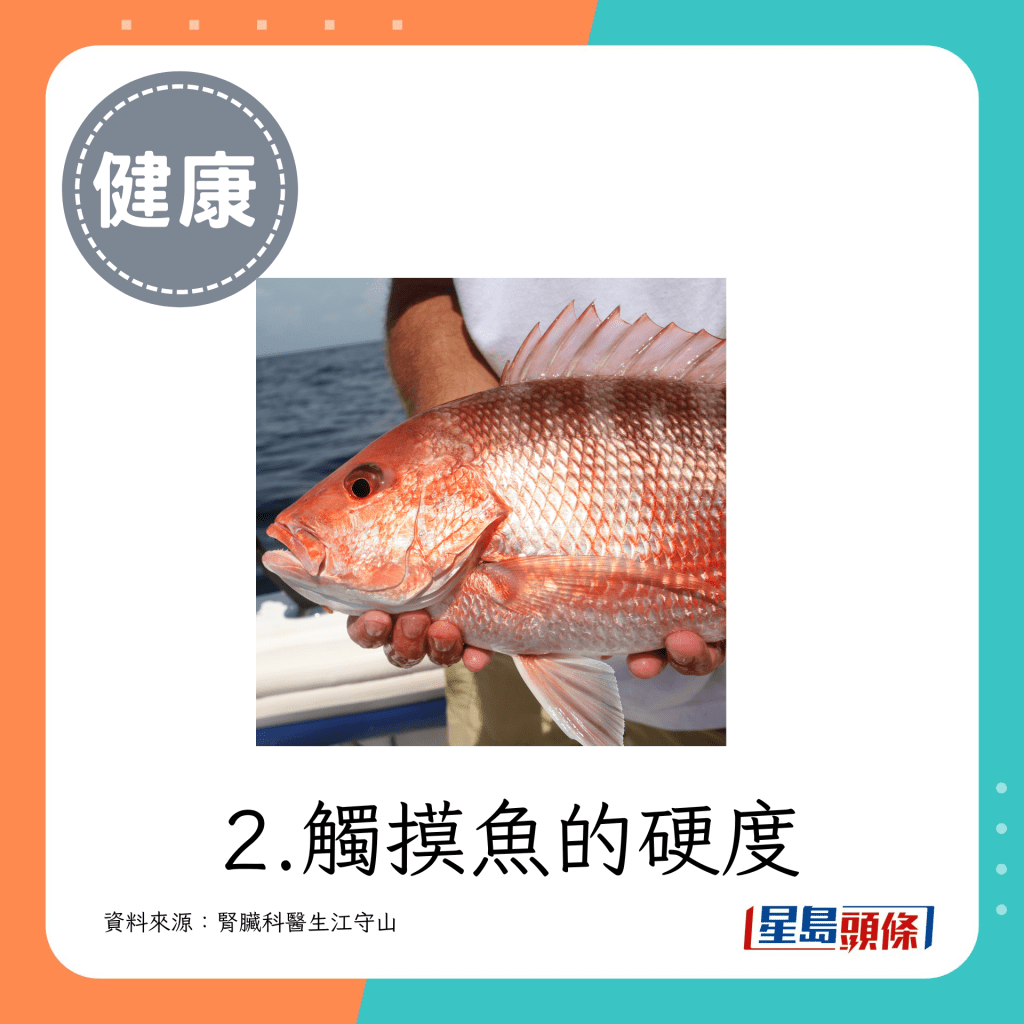 2.触摸鱼的硬度