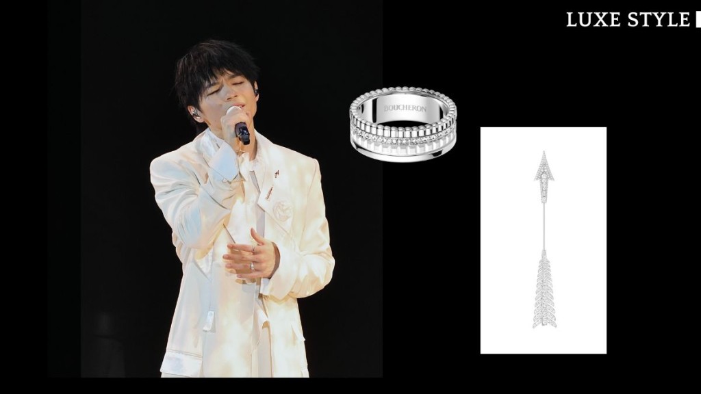 Boucheron Flèche 白金密鑲鑽石胸針。