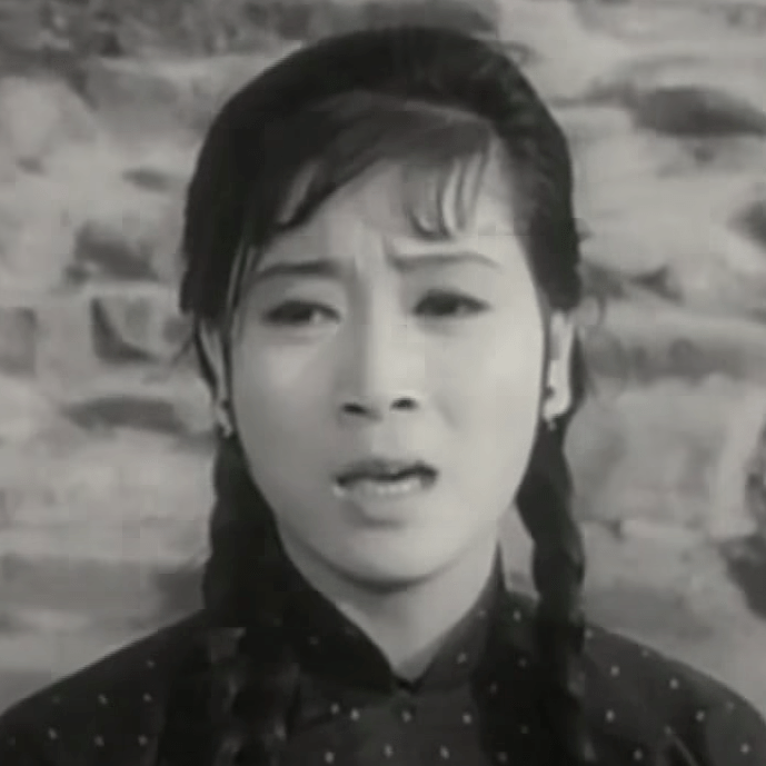 陈宝珠后来成为与萧芳芳齐名的一线女星。