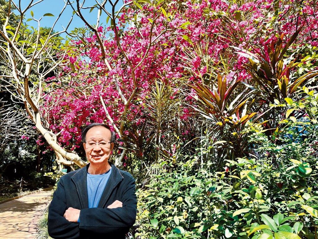 在簕杜鵑「紅花隧道」下，曾醒明暢談未來大計。