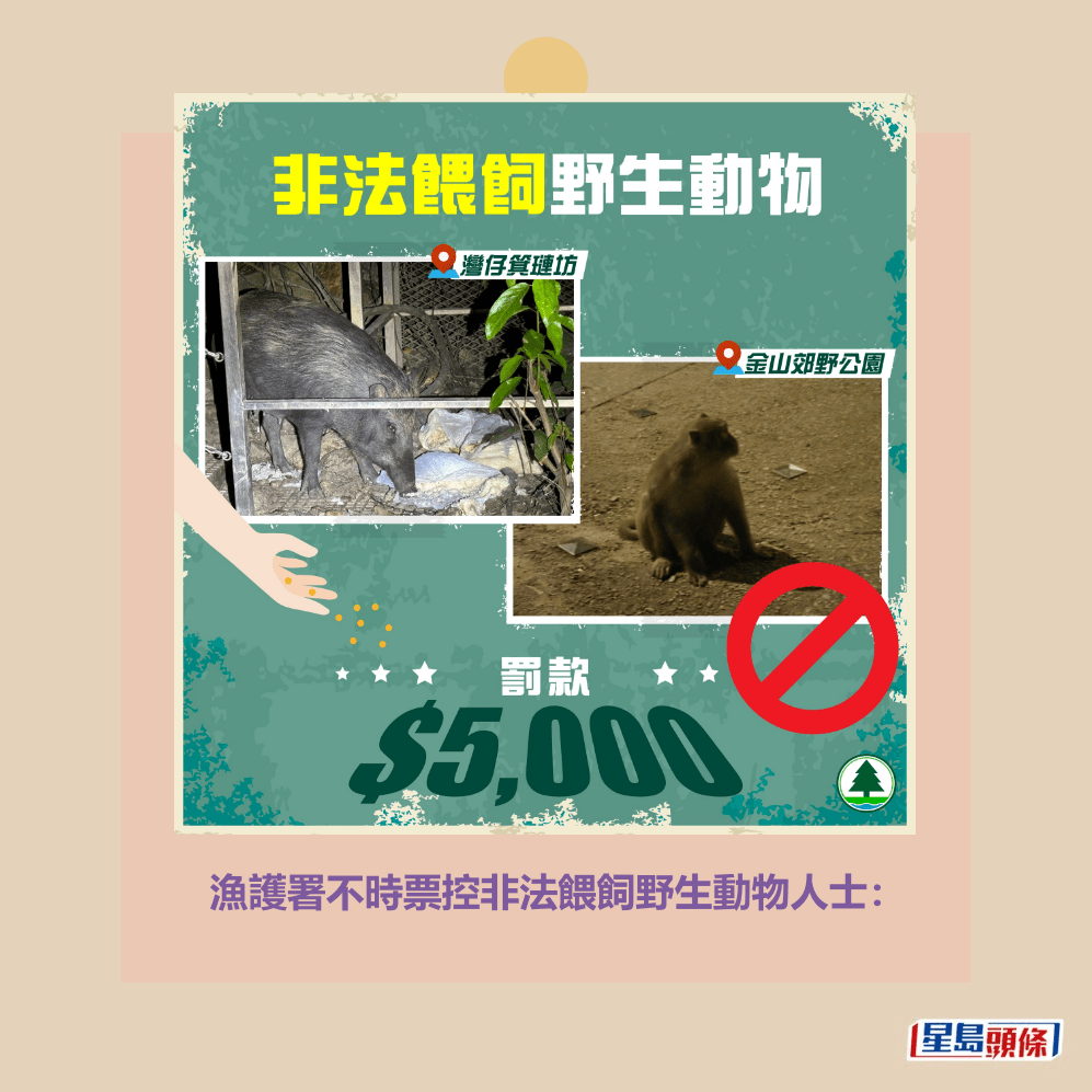 漁護署不時票控非法餵飼野生動物人士。「漁護署」fb截圖 漁護署不時票控非法餵飼野生動物人士。「漁護署」fb截圖