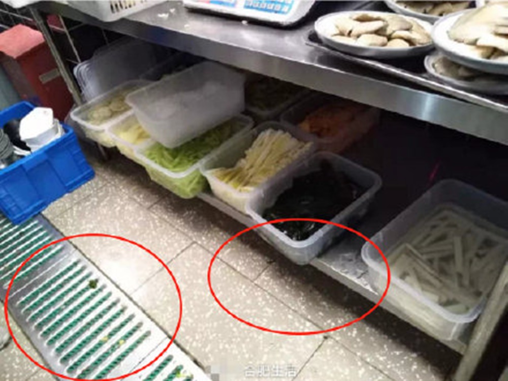 涉事火鍋店場所設置、廚餘垃圾處理方式等衛生狀況不符合保障食品安全標準。微博圖片