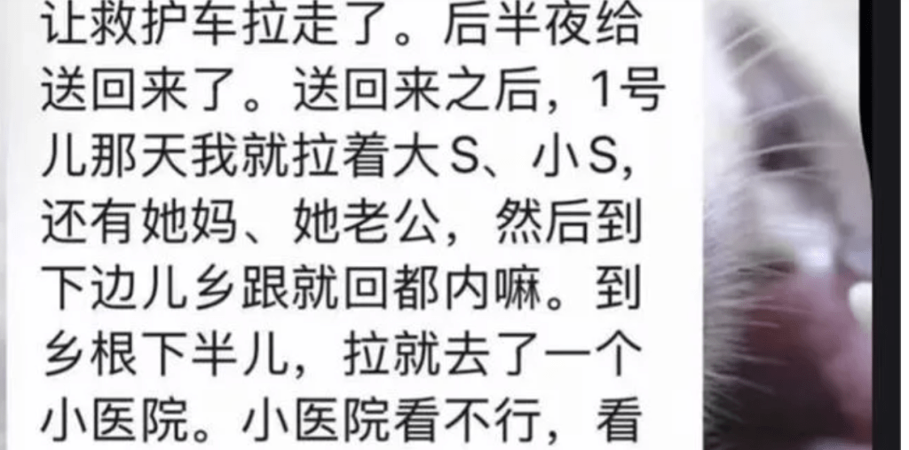 昨日內地小紅書流傳一張自稱是帶大S一家到日本旅遊的導遊與友人社交平台對話截圖。