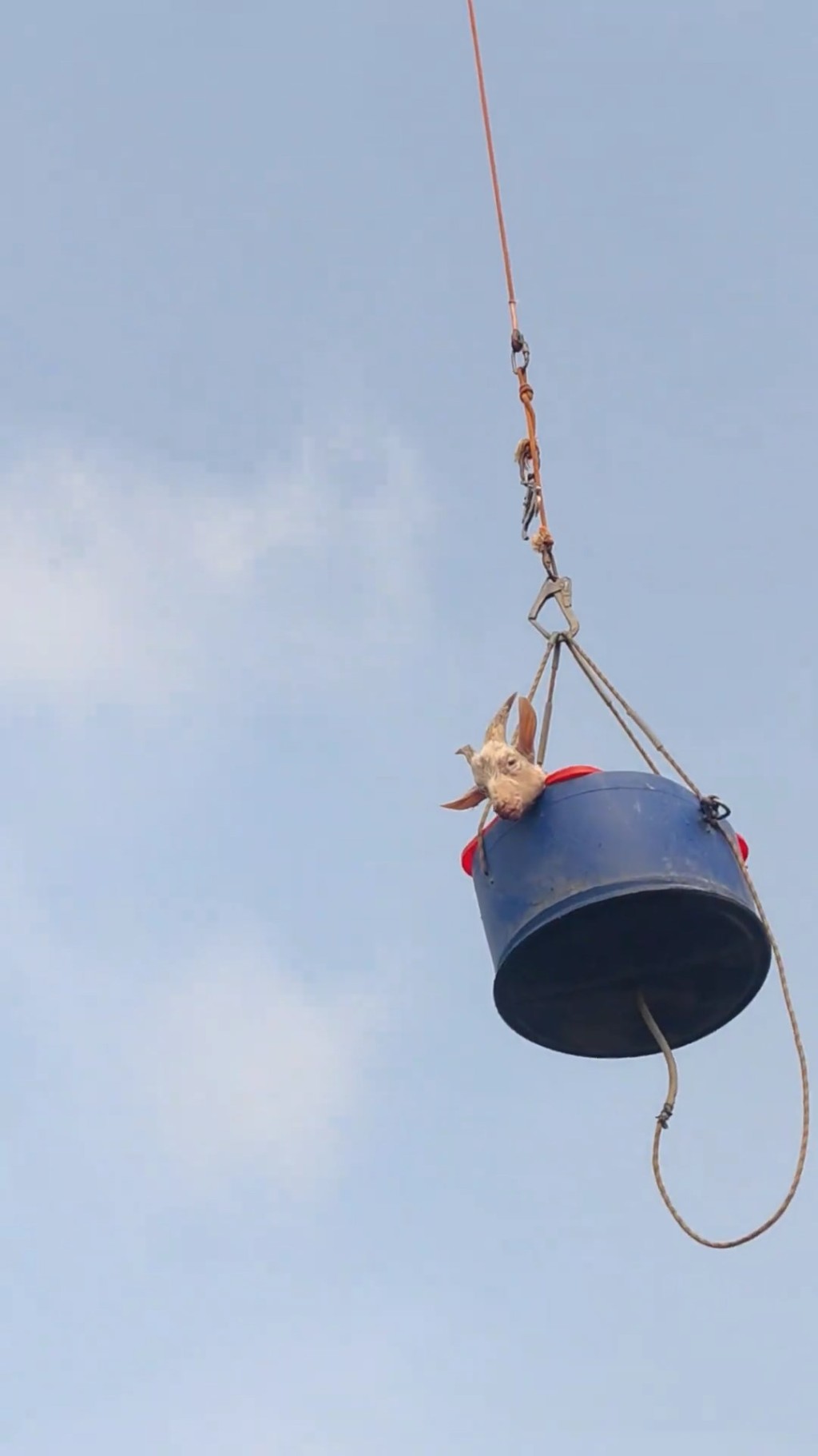 村民用无人机吊猪羊上山祭祖。抖音＠五华县佳音婚庆一站式策划