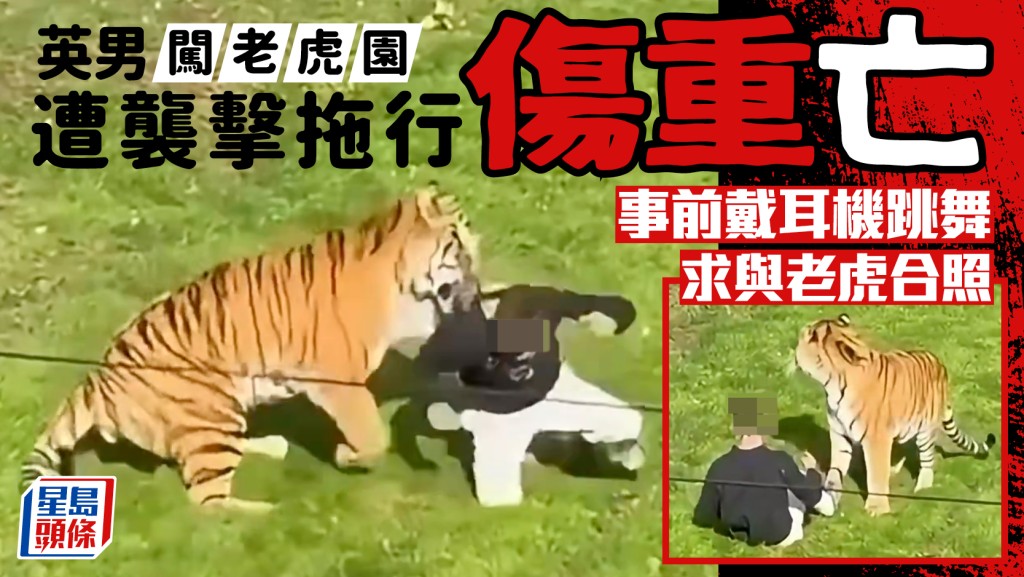 英國南約克郡男子闖老虎園遭咬死  生前戴耳機跳舞求和老虎合照