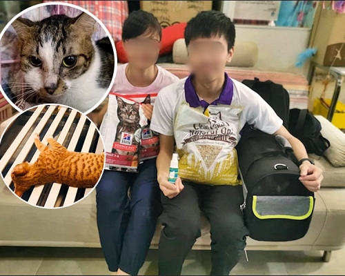 涉事的夫婦。網圖