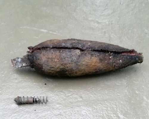 大潭郊野公園上月曾發現逼擊炮。資料圖片