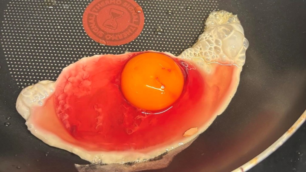 網友驚見雞蛋有血大呼「恐怖」 專家拆解血斑蛋食用風險 哪些蛋更應忌吃？
