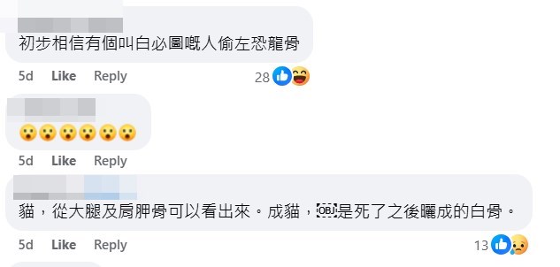 facebook截圖（資料來源：Patty Lee＠facebook將軍澳主場）