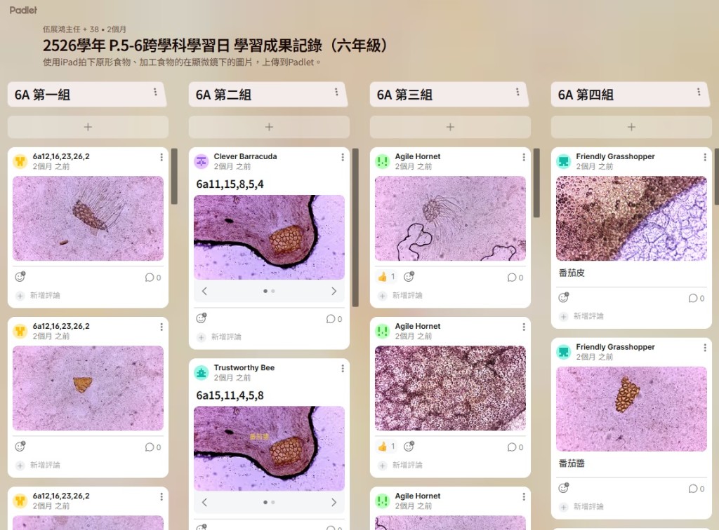 (圖片來源:受訪學校提供) (圖片來源:受訪學校提供)