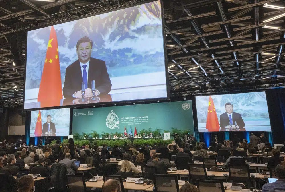 中國國家主席習近平周四（15日）在蒙特利爾舉行的COP15生物多樣性會議高級別會議開幕式上發表視訊講話。AP