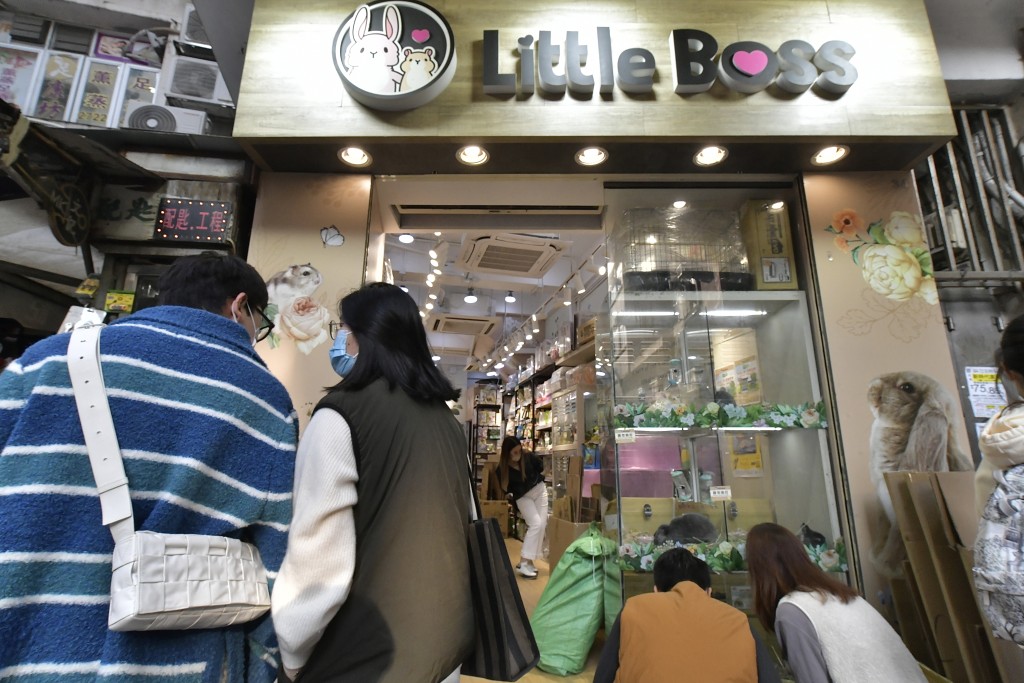 Little Boss現時仍無倉鼠供應。（陳極彰攝）