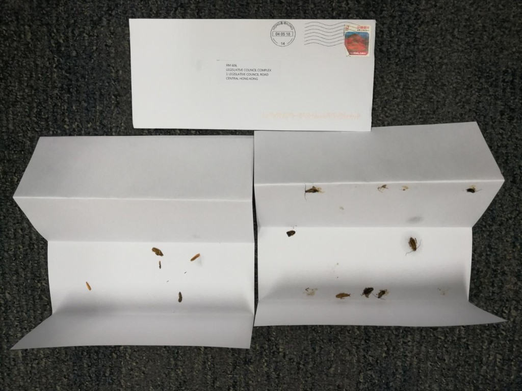 信封內黏上多隻曱甴的屍體,被壓扁的曱甴屍體遍佈白色紙上,極為噁心。