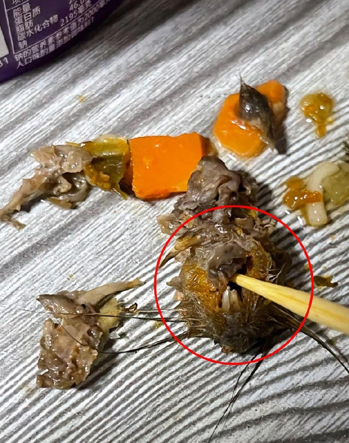 当事人吴先生在网上发布照片称统一老坛酸菜牛肉杯面里吃出了老鼠头。