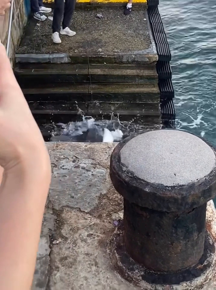 facebook截圖（資料來源：Ken Yu＠facebook筲箕灣西灣河關注組）