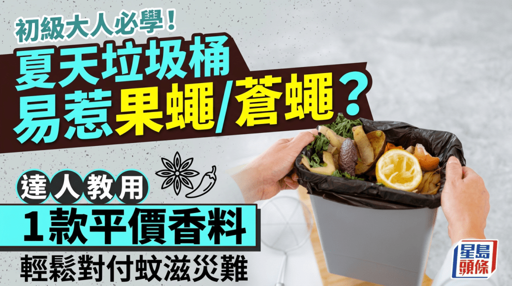 初級大人必學！夏天垃圾桶易惹果蠅/蒼蠅？達人教用1款平價香料 輕鬆對付蚊滋災難