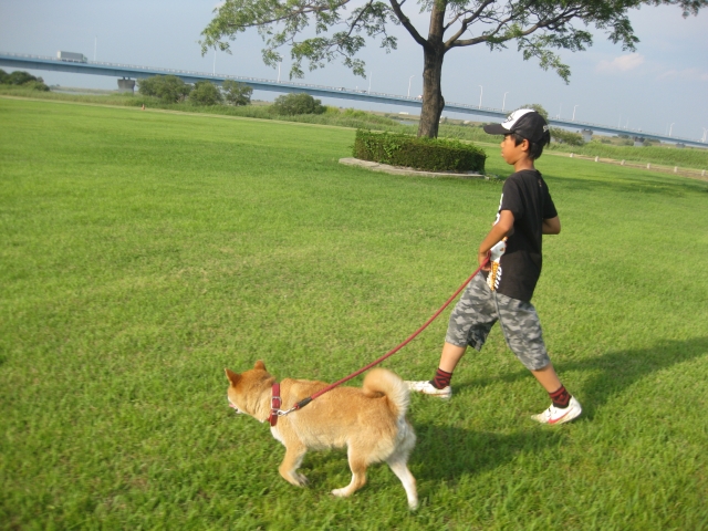 (圖片來源:PhotoAC) (圖片來源:PhotoAC)