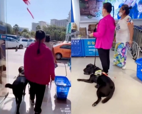 海南有超市拒絕盲人帶導盲犬購物。(網圖)