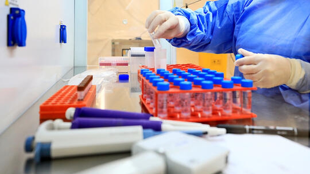 河南鄭州金域臨床檢驗中心負責人被立案調查。示意圖