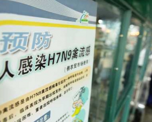 湖南新增2宗感染H7N9个案。资料图片　