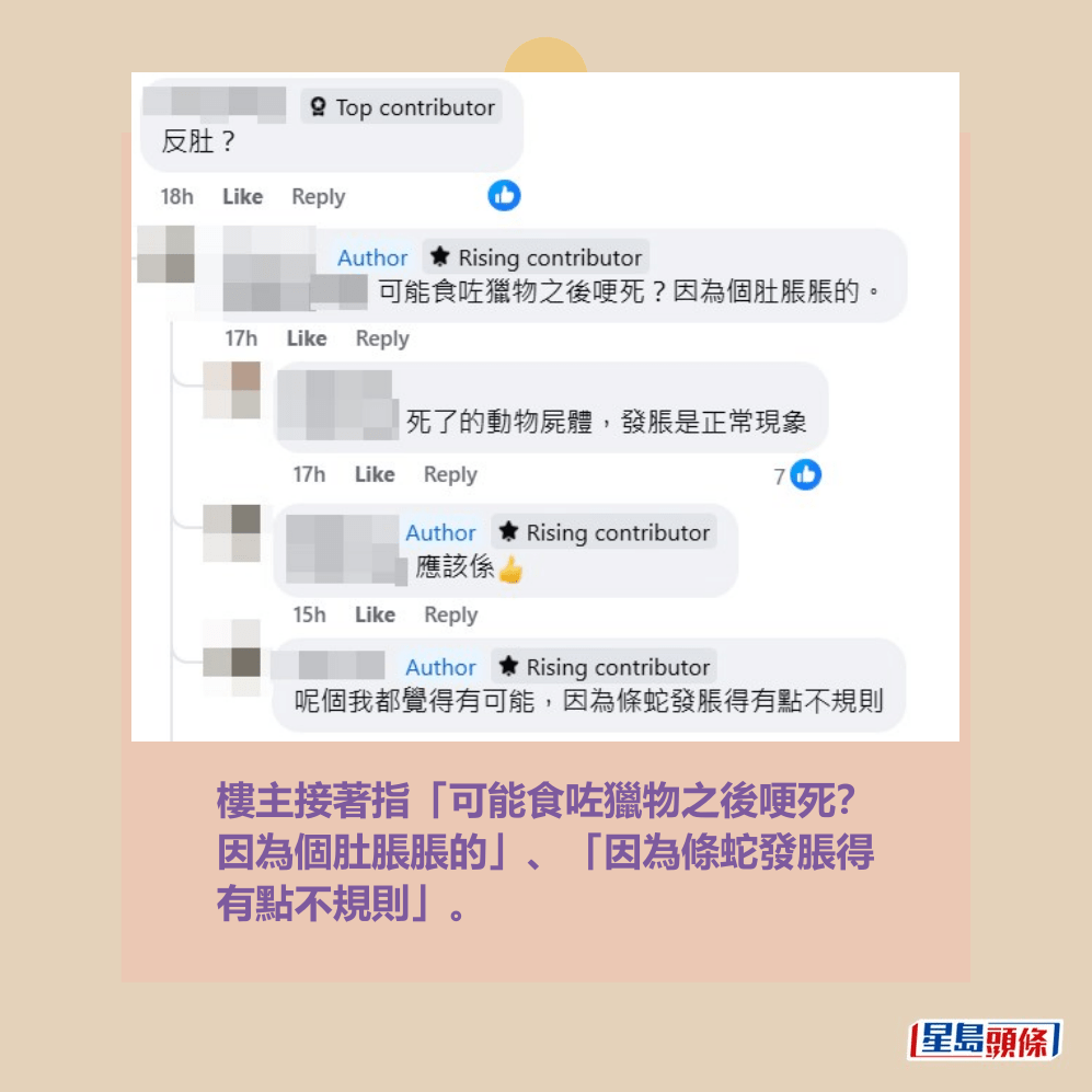 樓主接著指「可能食咗獵物之後哽死? 因為個肚脹脹的」、「因為條蛇發脹得 有點不規則」。fb「將軍澳主場」截圖 樓主接著指「可能食咗獵物之後哽死? 因為個肚脹脹的」、「因為條蛇發脹得 有點不規則」。fb「將軍澳主場」截圖