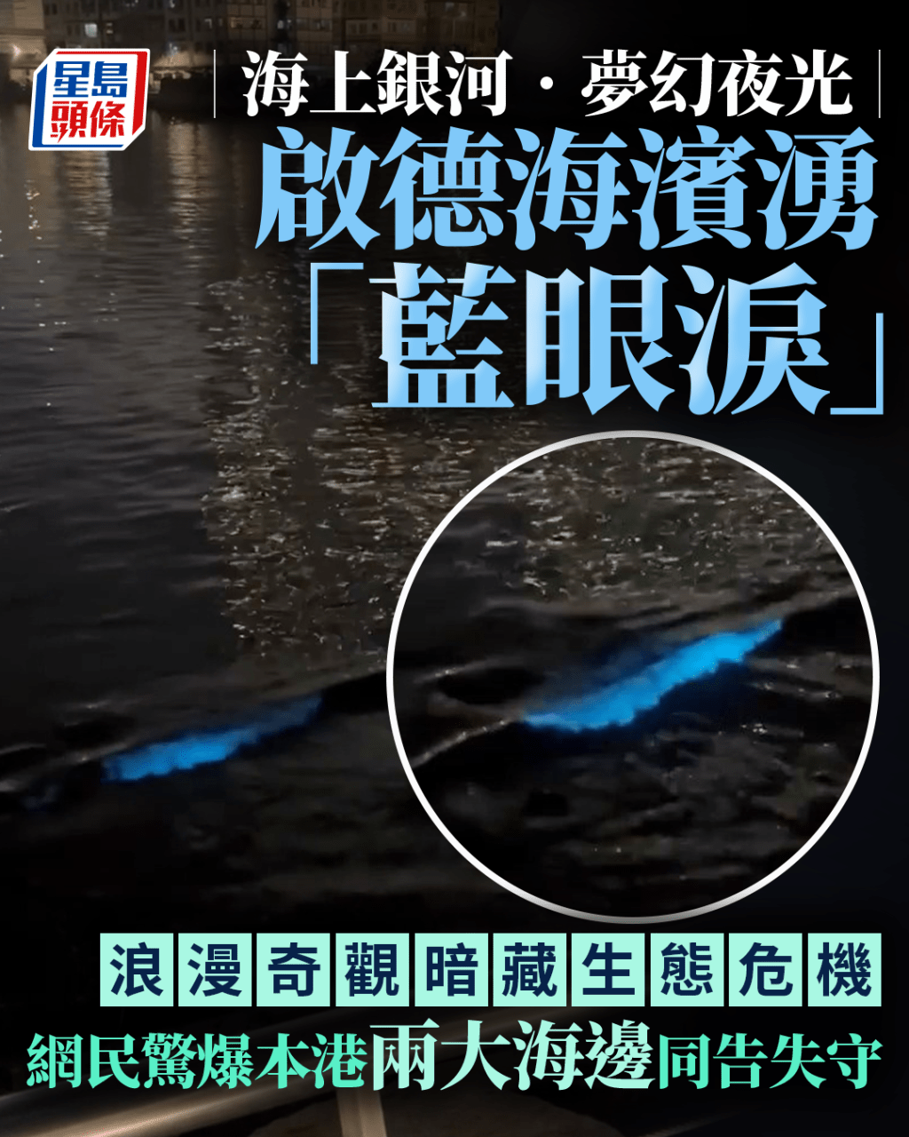 啟德海濱湧「藍眼淚」 浪漫奇觀暗藏生態危機 網民驚爆本港兩大海邊同告失守｜Juicy叮