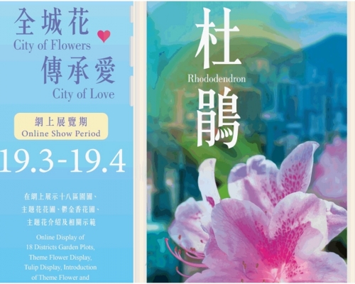 今年的香港花卉展覽以杜鵑花為主題花。