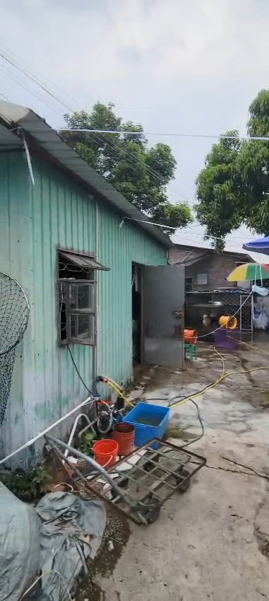 狗場內大約有逾百隻狗。動物福利關注聯盟召集人劉鎮海提供