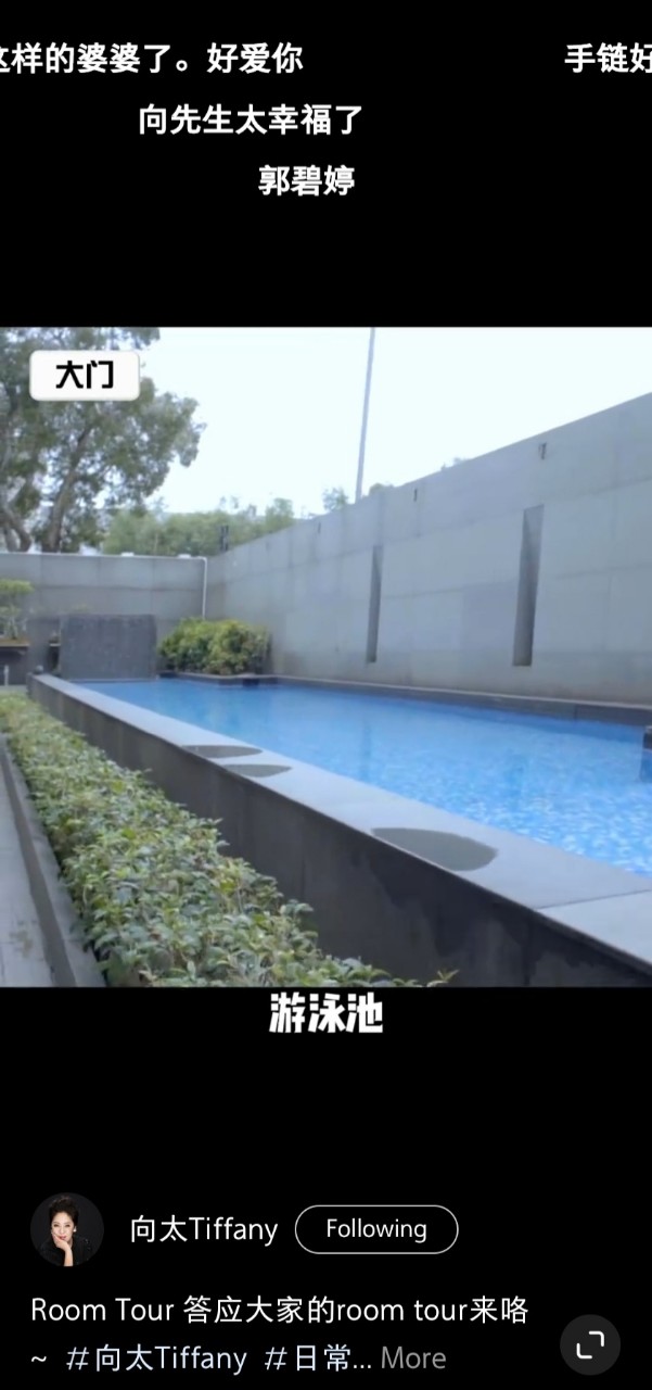 花园设有的超大泳池。